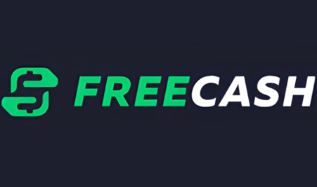 Paid Surveys