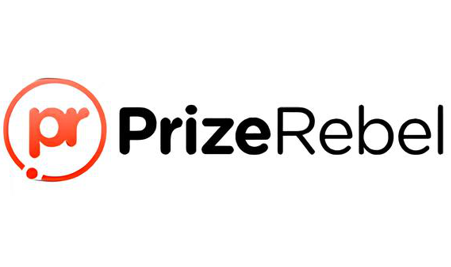 Paid Surveys